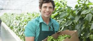 Food banks in the UK