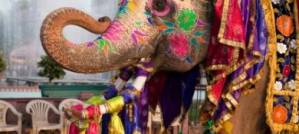 The young Indians marrying outside their caste The young Indians marrying outside their caste