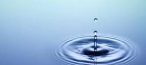Not Just a Drop in the Bucket Not Just a Drop in the Bucket