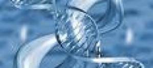 Progress in cancer research Progress in cancer research