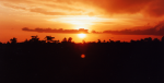 Sexual Violence on the Rise in the Congo Sexual Violence on the Rise in the Congo