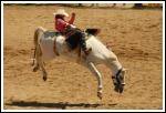 The Williams Lake Stampede