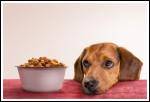 Pet Food Recall Grows in Scope
