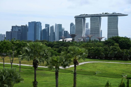 world cities uprooting the urban jungle.jpg