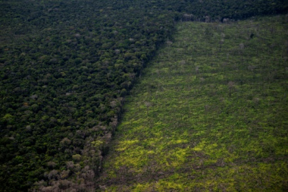 Developing nations demand more money at crunch UN biodiversity talks.jpg
