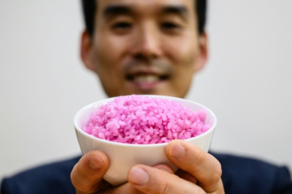 South Korean professor aims to change global protein.jpg South Korean professor aims to change global protein.jpg