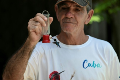 In Cuba, a haven for the world's tiniest bird.jpg