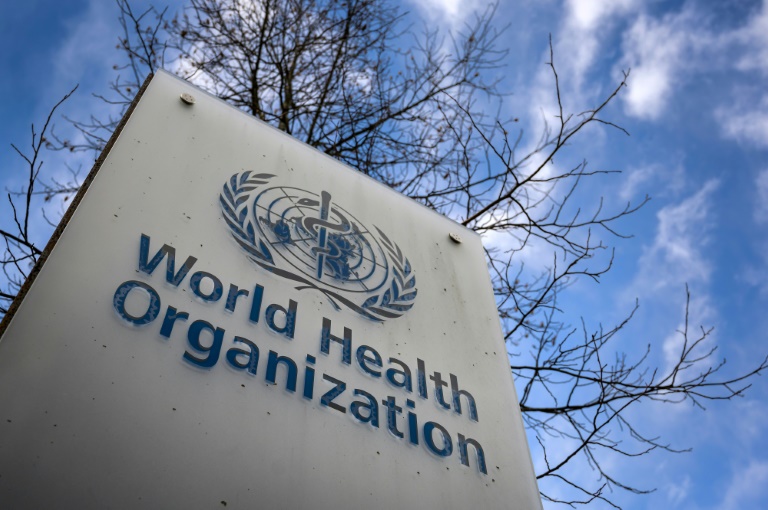 Accord reached 'in principle' over tackling future pandemics: negotiating body