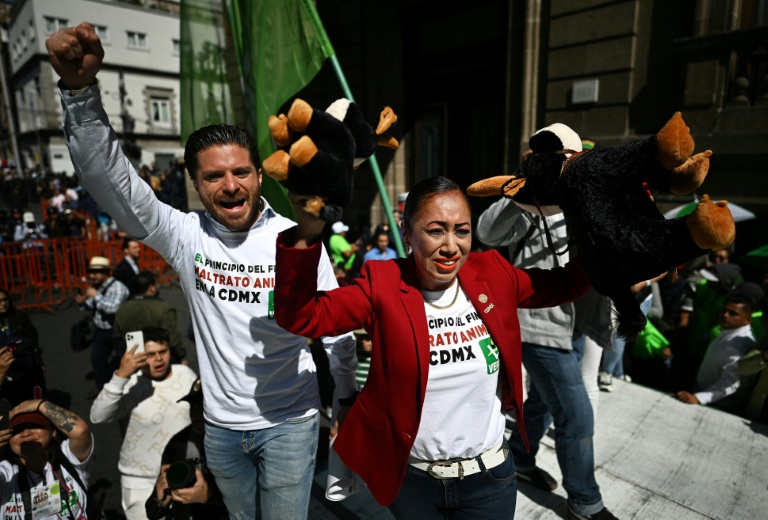 Mexico City, home to world's biggest bullring, bans killing bulls