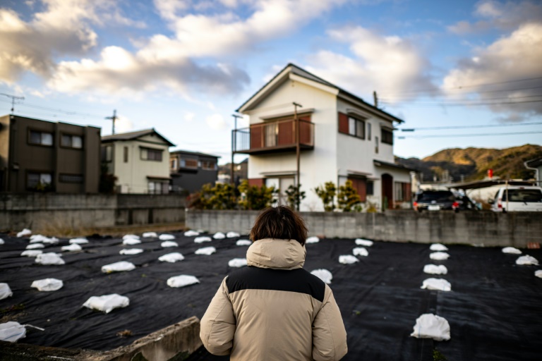 Family fights for death-row retrial under Japan's 'snail-paced' system