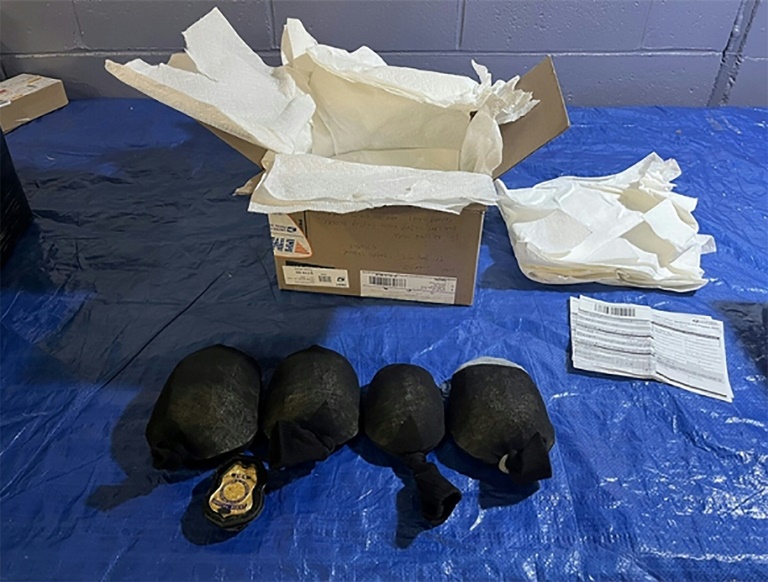 Chinese man pleads guilty in US to smuggling protected turtles