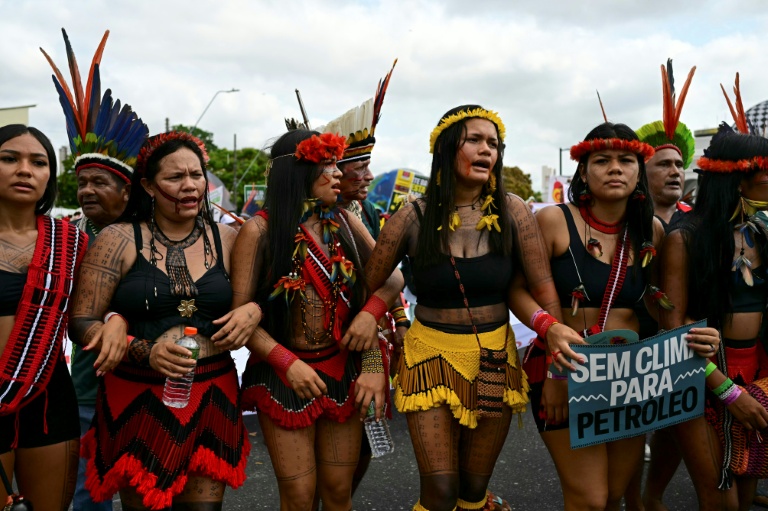 COP30 dragged into clash over gender language