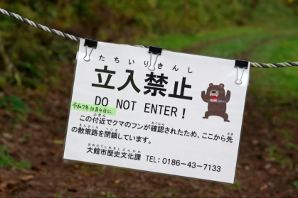 Bears have killed a record 13 people this year in Japan - Caroline GARDIN (AFP)