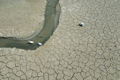 The planet is on track to log its second hottest year on record in 2025, tied with 2023 - Nicolas TUCAT (AFP)