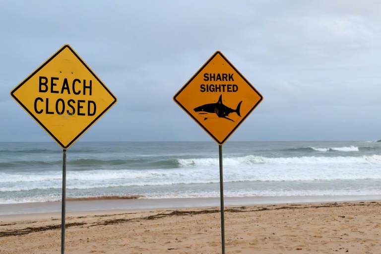 Shark bites surfer in Australian state's fourth attack in 48 hours