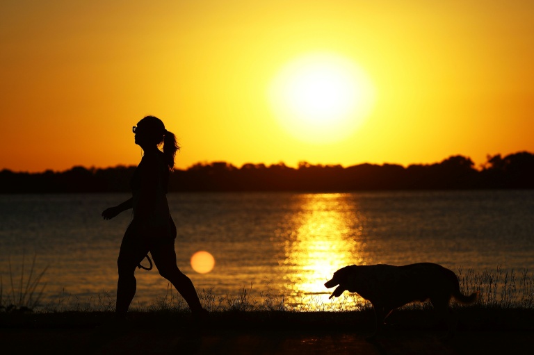 Till death do us bark: Brazilian state lets pets be buried with owners