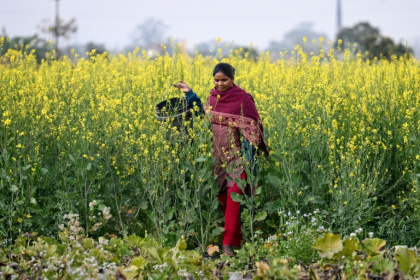The government hopes the AI-driven labour shift will bring more women into the workforce - Arun SANKAR (AFP)