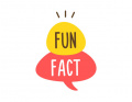 faits-amusants-langue-anglaisejpg
